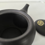 Théière Japonaise en Terre Cuite <br> Tokoname 370ml