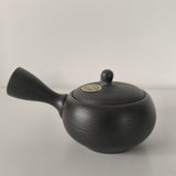 Théière Japonaise en Terre Cuite <br> Tokoname 370ml