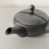 Théière Japonaise <br> Terre cuite Tokoname 210ml