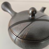 Théière Japonaise <br> Terre cuite Tokoname 210ml
