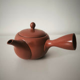 Kyusu Tokoname