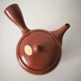 Théière Japonaise <br> Terre de Tokoname 370ml