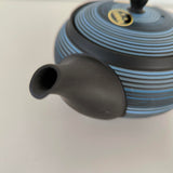 Théière Japonaise Traditionnelle <br> en Terre Cuite de Tokoname 280-340ml