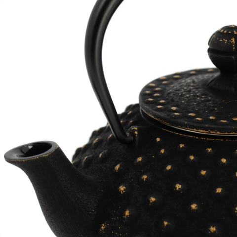 Théière en Fonte Individuelle <br> Iwachu Kanbin 320ml