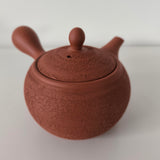 Théière en Terre Japonaise