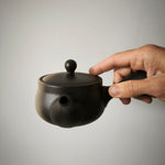 Théière Japonaise Motif Chat <br> Tokoname 300ml