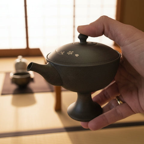 Théière Japonaise Design