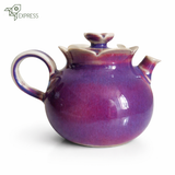 Théière en Porcelaine Chinoise