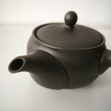 Théière Japonaise <br> Poterie Tokoname 340ml