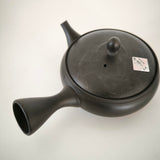 Théière pour Gyokuro <br> Tokoname 150ml