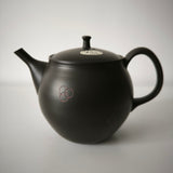 Théière Artisanale Made In Japan <br> Hokuryū 360-500ml