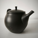 Théière Artisanale Made In Japan <br> Hokuryū 360-500ml