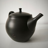 Théière Artisanale Made In Japan <br> Hokuryū 360-500ml