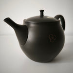 Théière Artisanale Made In Japan <br> Hokuryū 360-500ml