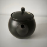 Théière Artisanale Made In Japan <br> Hokuryū 360-500ml