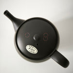 Théière Artisanale Made In Japan <br> Hokuryū 360-500ml