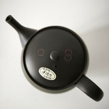 Théière Artisanale Made In Japan <br> Hokuryū 360-500ml