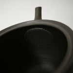 Théière Artisanale Made In Japan <br> Hokuryū 360-500ml