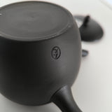 Théière en Terre Cuite <br> Japon Tokoname 300ml
