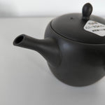 Théière en Terre Cuite <br> Japon Tokoname 300ml