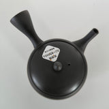 Théière en Terre Cuite <br> Japon Tokoname 300ml