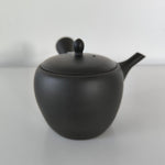 Théière en Terre Cuite <br> Japon Tokoname 300ml