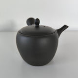 Théière en Terre Cuite <br> Japon Tokoname 300ml