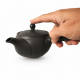 Théière Japonaise <br> Poterie Tokoname 340ml