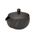 Théière Individuelle Japonaise <br> Tokoname 150ml