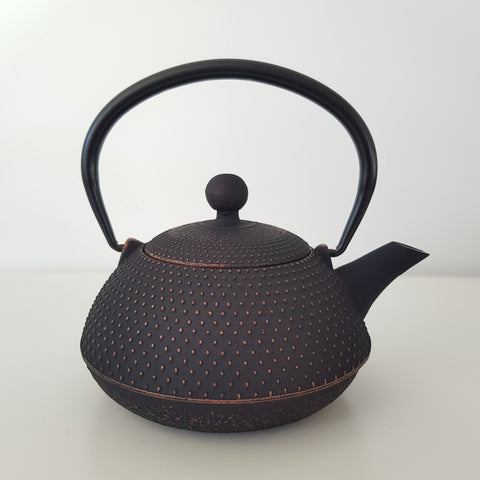 Théière Japonaise en Fonte